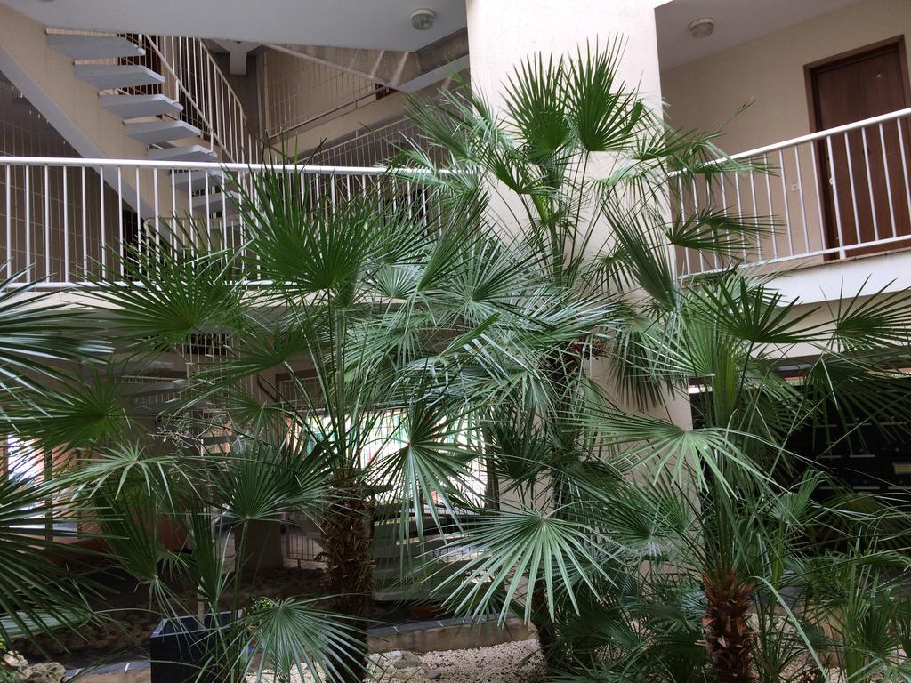 Saint-RaphaëlTu Casa Parking Fibre Optique Netflix公寓 外观 照片