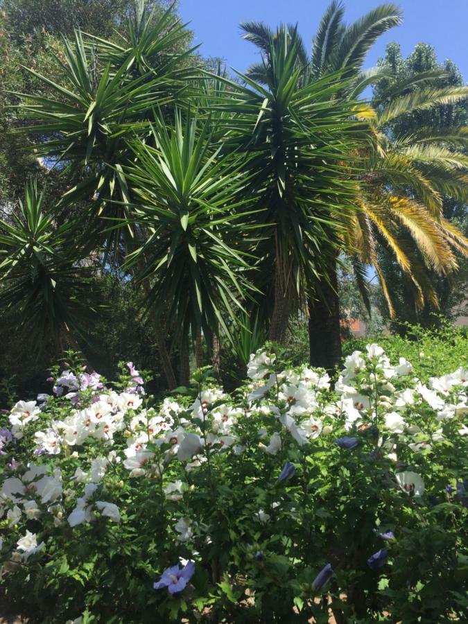 Saint-RaphaëlTu Casa Parking Fibre Optique Netflix公寓 外观 照片