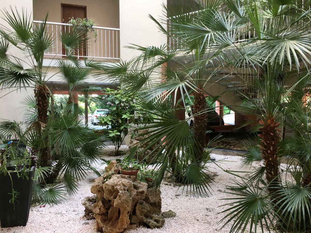 Saint-RaphaëlTu Casa Parking Fibre Optique Netflix公寓 外观 照片